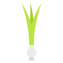 vegan,healthy food,food and restaurant,organic,diet,vegetarian,onion,spring onion,scallion